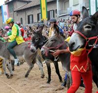 Palio_asini_Alba.jpg Palio_asini_Alba.jpg
