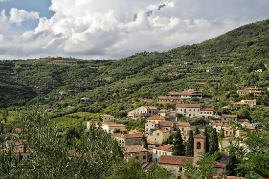 XXXVII Festa della Giuggiola Arquà Petrarca