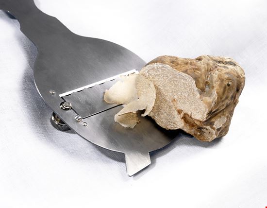 Fiera Nazionale del Tartufo Bianco  Acqualagna