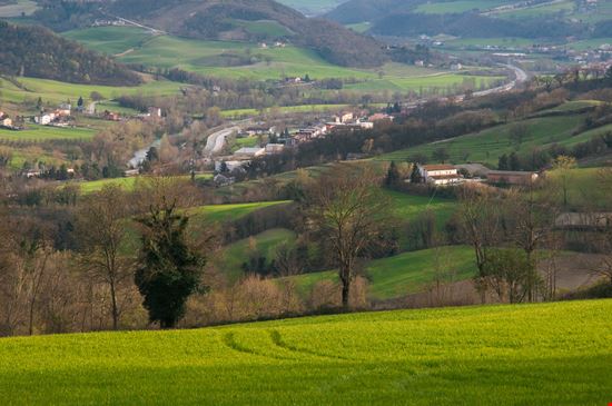Fiera Nazionale del Tartufo Bianco  Acqualagna