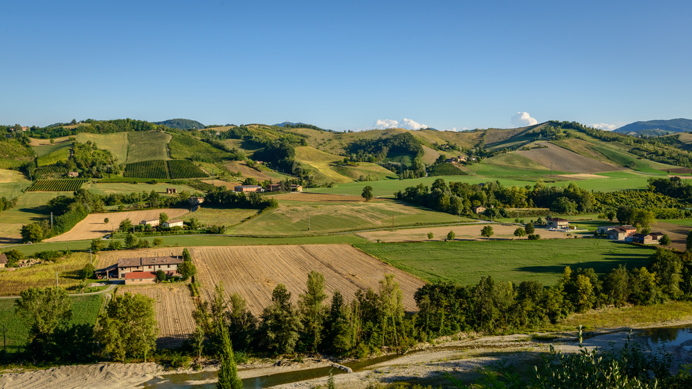 shutterstock_317768186.jpg