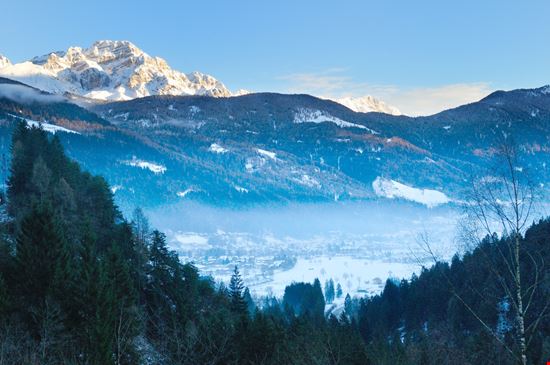Giovenche di Razza Rendena Pinzolo