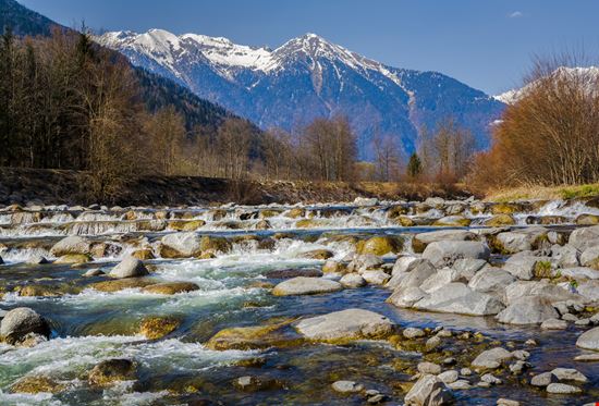 Giovenche di Razza Rendena Pinzolo