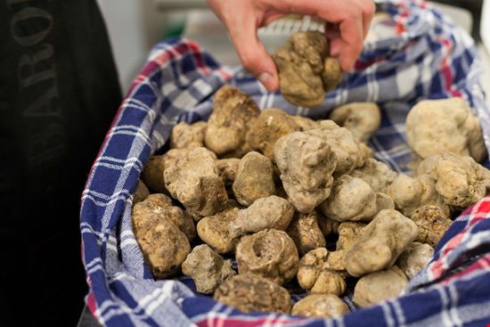 Mostra Nazionale del Tartufo Bianco Pregiato delle Marche Sant'Angelo in Vado