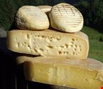 Festa_Del_Formaggio_Salato_E_Di_Malga_Sauris.jpg Festa_Del_Formaggio_Salato_E_Di_Malga_Sauris.jpg