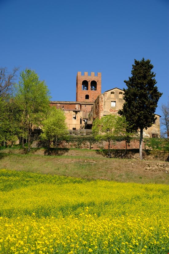 Sagra della schiacchiata di Pasqua e del Carciofo Fritto San Miniato