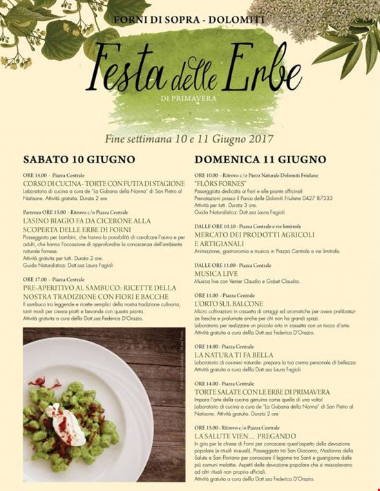 Festa delle Erbe di Primavera Forni di Sopra