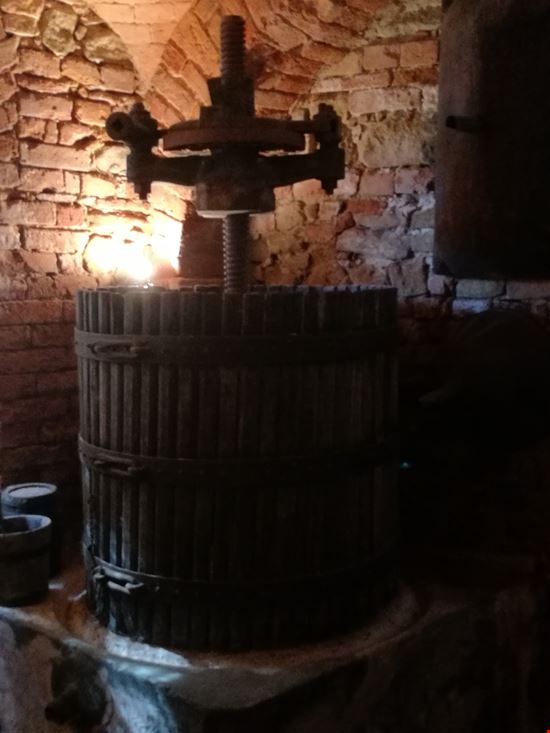Tour dei vini delle Langhe in autonomia Alba