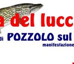 Titolo_WEB.jpg Titolo_WEB.jpg