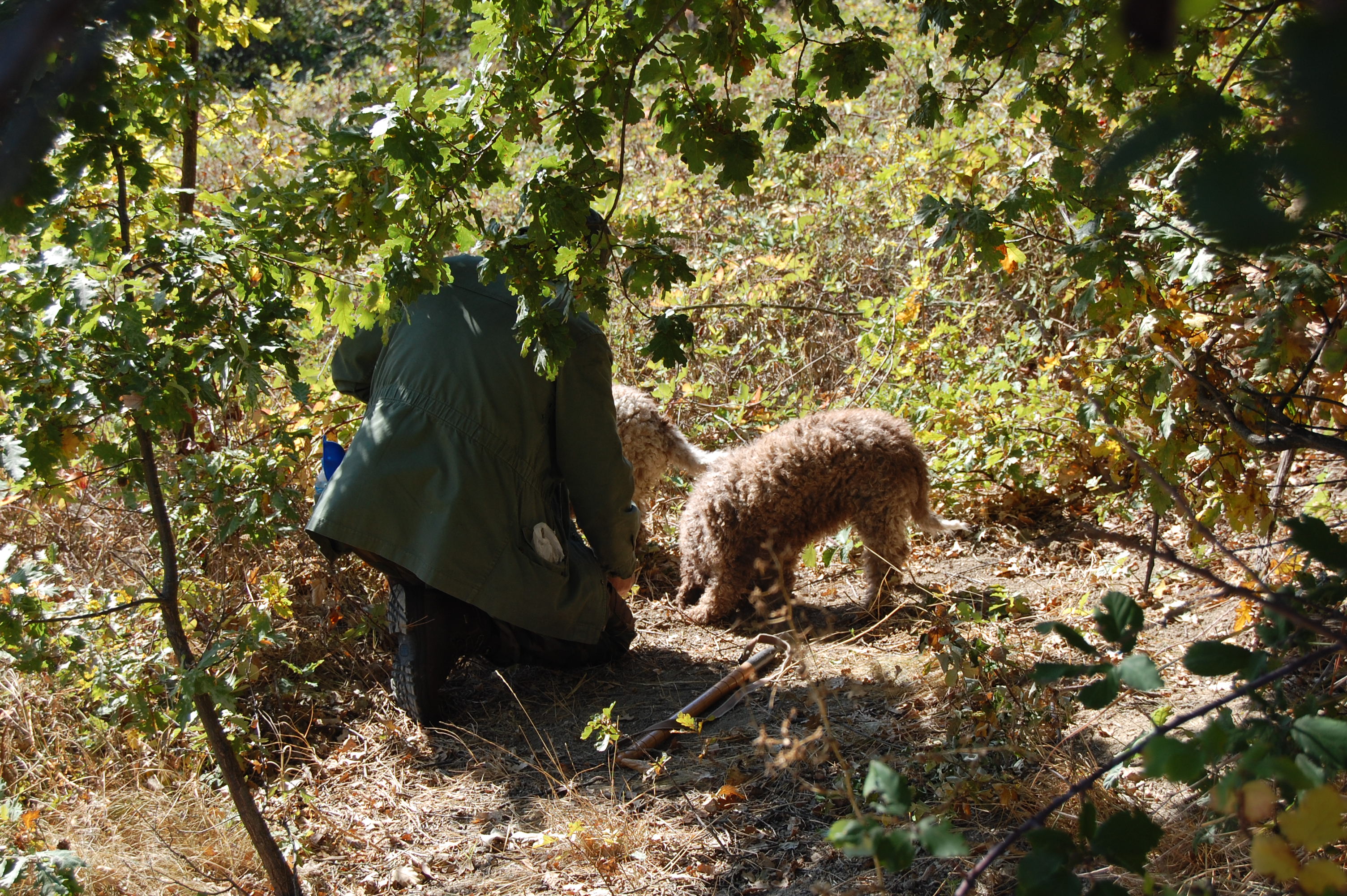 DSC_1059.JPG
