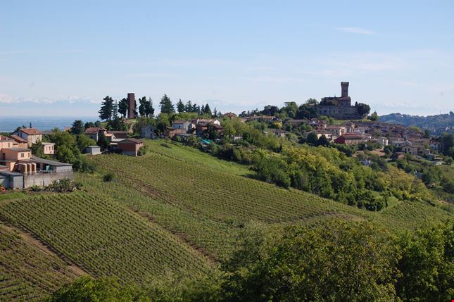 Oltrepò Pavese, vigneti