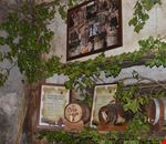 DSC_0119 DSC_0119