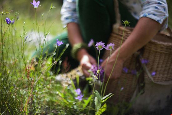 Eventi Enogastronomici in Trentino Cavalese
