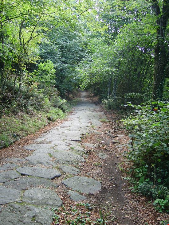 Mangialonga 2018 - Camminenno e magnenno Rocca di Papa