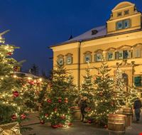 mercatini-di-natale-a-salisburgo_2477979 mercatini-di-natale-a-salisburgo_2477979