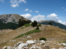 Monte_Pollino_e_Serra_del_Prete_dal_contrafforte_ovest_di_Serra_delle_Ciavole..png