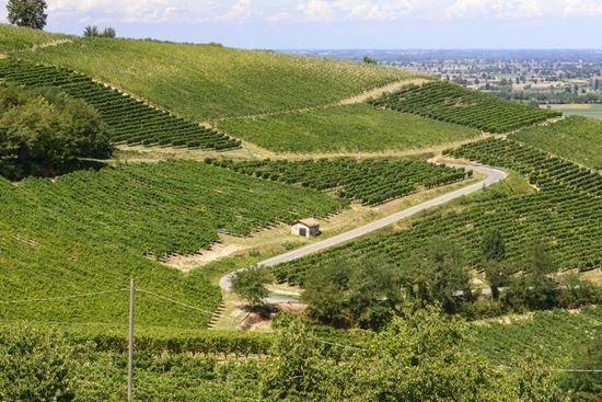 TRAMONTI DI..VINI TRA GESSI ED ULIVI Codevilla
