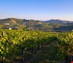 oltrepo pavese 2 oltrepo pavese 2