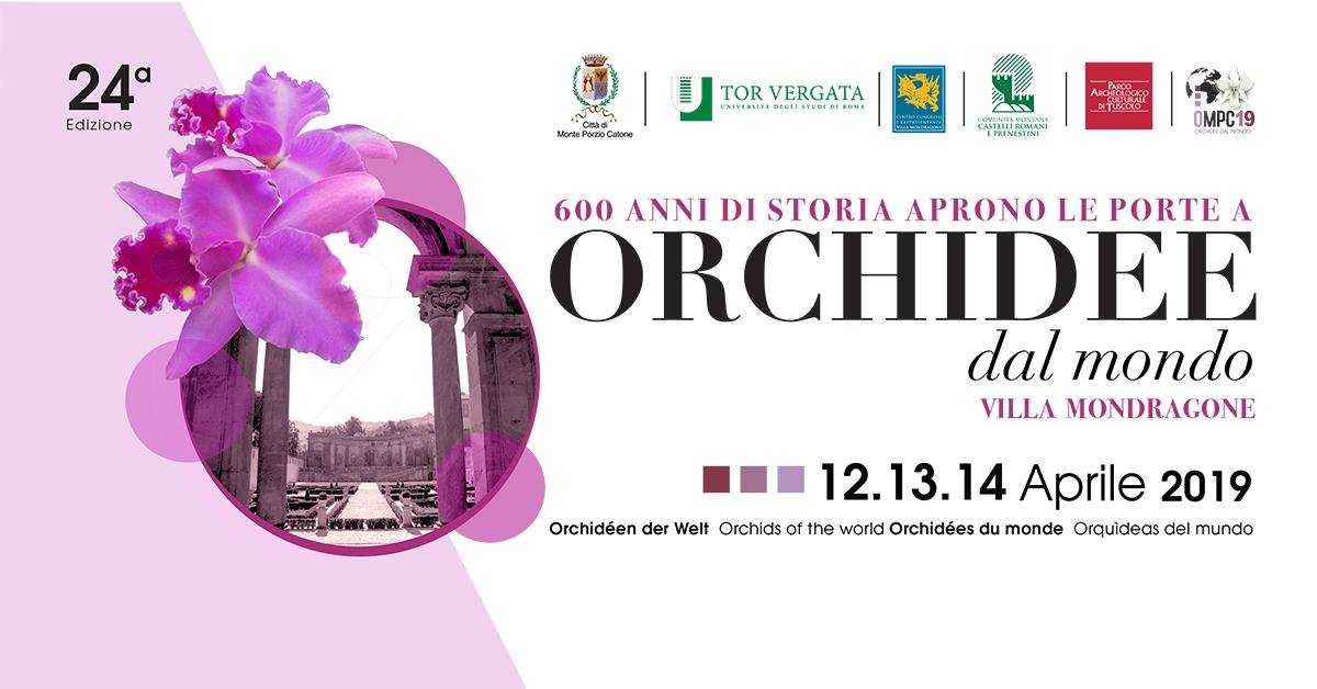 Orchidee