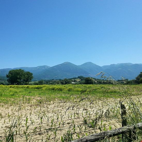 Il cammino dell'arte e del gusto Cantalice