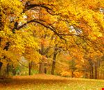 shutterstock_108554648 shutterstock_108554648