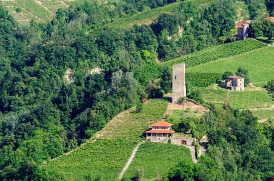 Camminata enogastronomica - su e giù per i sentieri pavesiani Santo Stefano Belbo