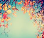 shutterstock_223209310 shutterstock_223209310