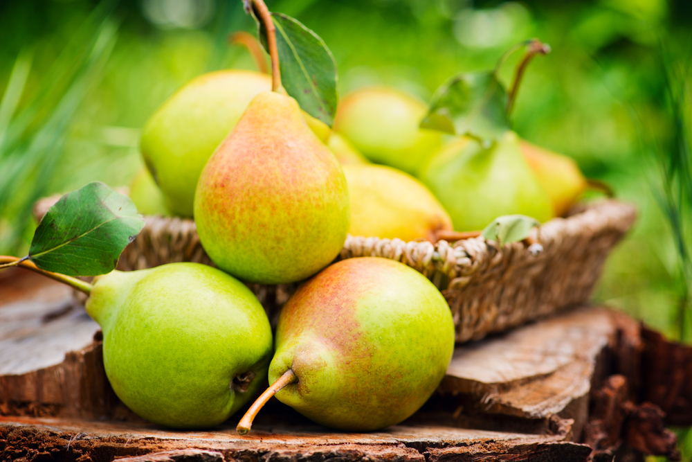 shutterstock_298111103