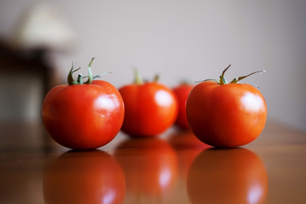 shutterstock_592050692