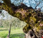 shutterstock_635628194 shutterstock_635628194