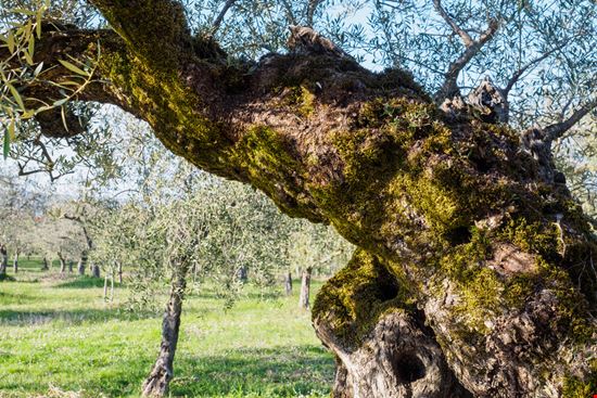 Bastardo Sound B-Eat Giano dell'Umbria