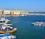 shutterstock_668301676 shutterstock_668301676