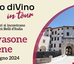 VALVASONE ARZENE COVER FB (5).png VALVASONE ARZENE COVER FB (5).png
