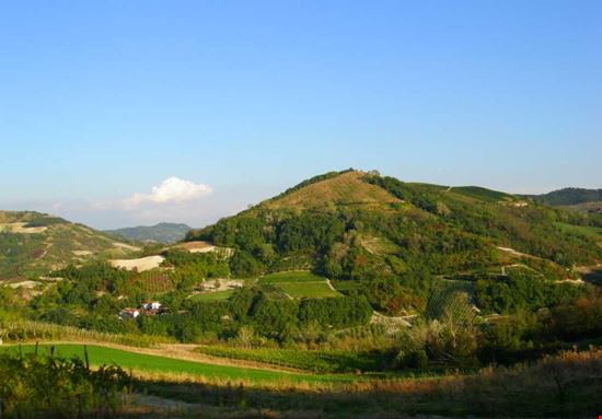 APE-RITIVO CON VISTA: LE API DEI MONTI Torrazza Coste