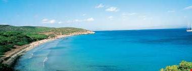 2 2