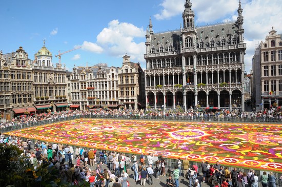 bruxelles tappeto di fiori nella grand place