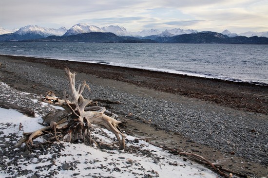 Homer Spit