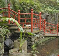 Tropical Garden Tropical Garden
