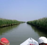 laguna laguna