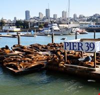 san francisco leoni marini al pier 39 san francisco leoni marini al pier 39