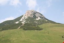 Corno Bianco
