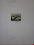  museo arte moderna contemporanea