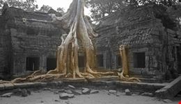 Ta Prohm