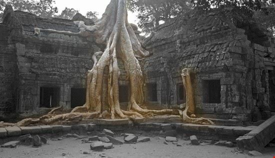 Ta Prohm Angkor Chi King - CC BY 2.0 Chi King