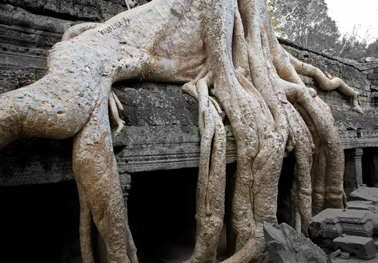 Ta Prohm