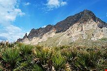 Riserva naturale Monte Cofano