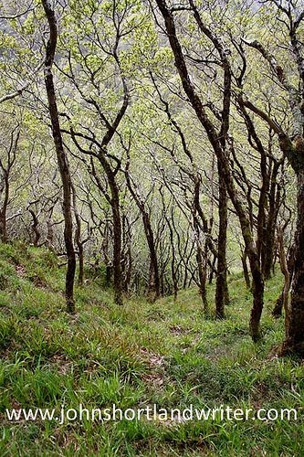  exmoor national park