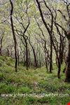  exmoor national park