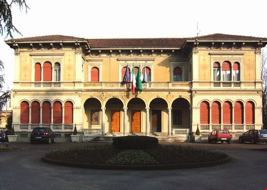  Saronno Pino Alpino - Pubblico dominio Pino Alpino
