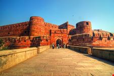 agra forte rosso